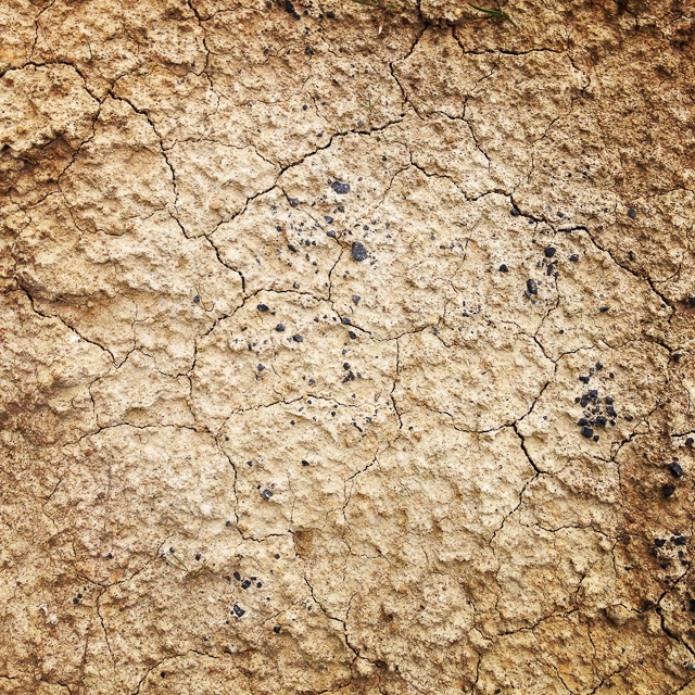 Cracked Earth
