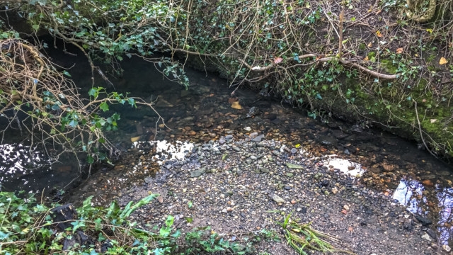 Stream in Knowle