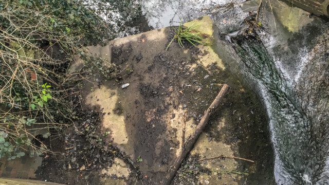 Culvert in Knowle