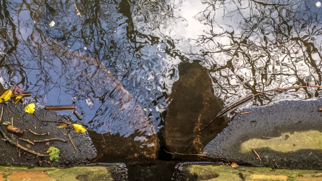 Culvert in Knowle
