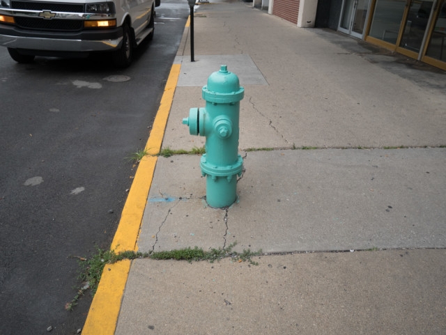 Indianapolis fire hydrant