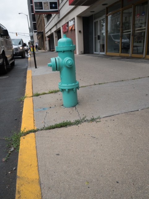Indianapolis fire hydrant