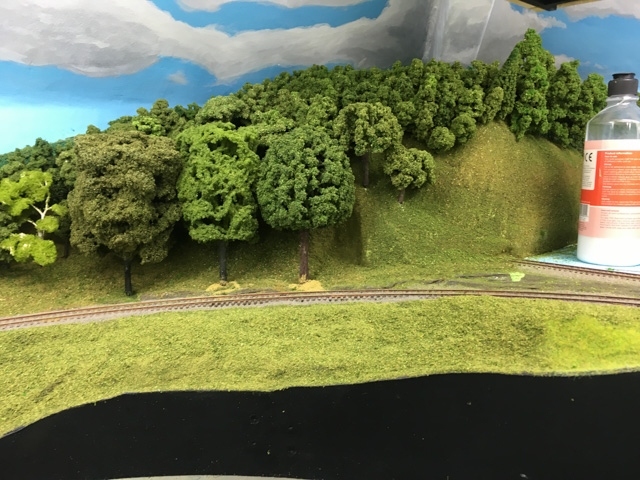 Some trees in